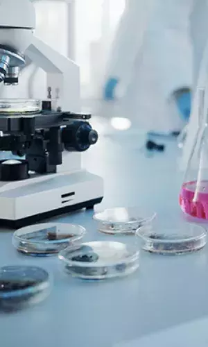 Sciences de la vie